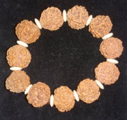 Рудракша гривна